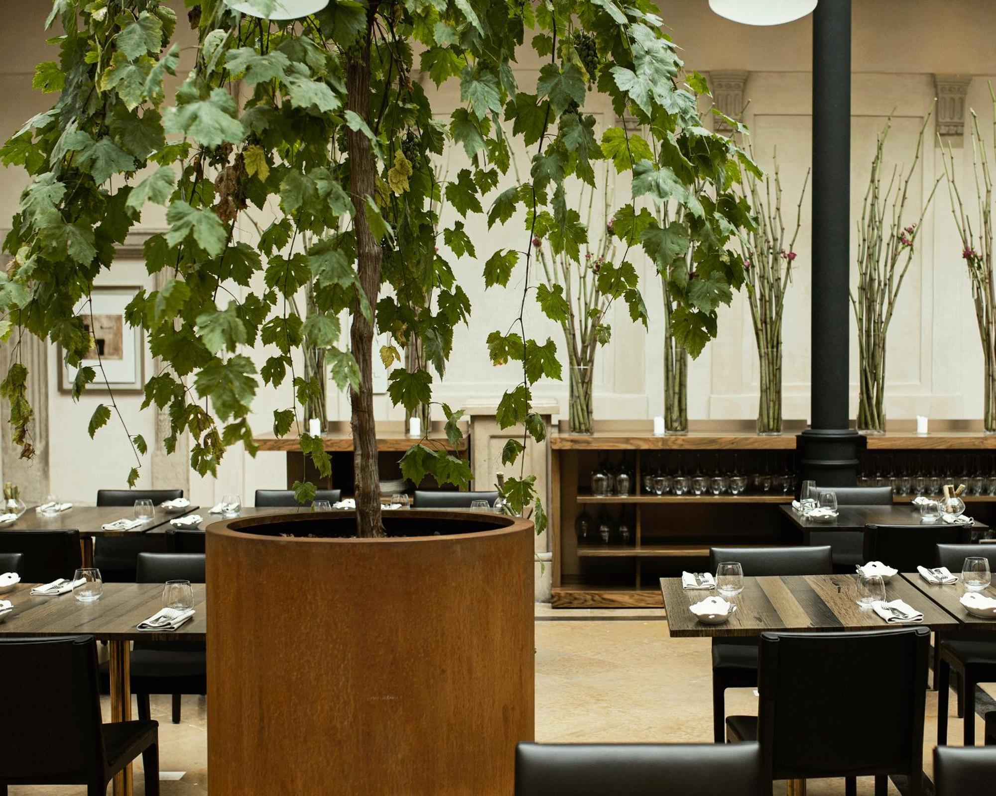Hotel Pod Roza 크라쿠프 외부 사진 Interior of the restaurant